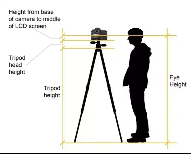 Set the Initial Height