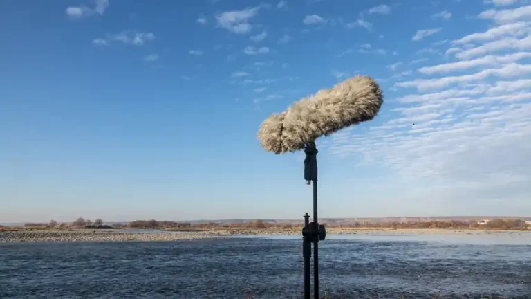 How to Record Clear Audio in Windy Conditions?