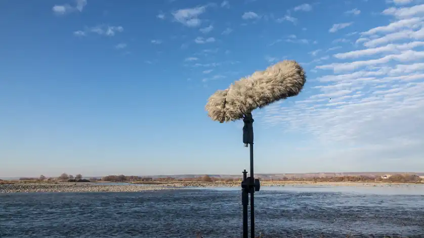 How to Record Clear Audio in Windy Conditions